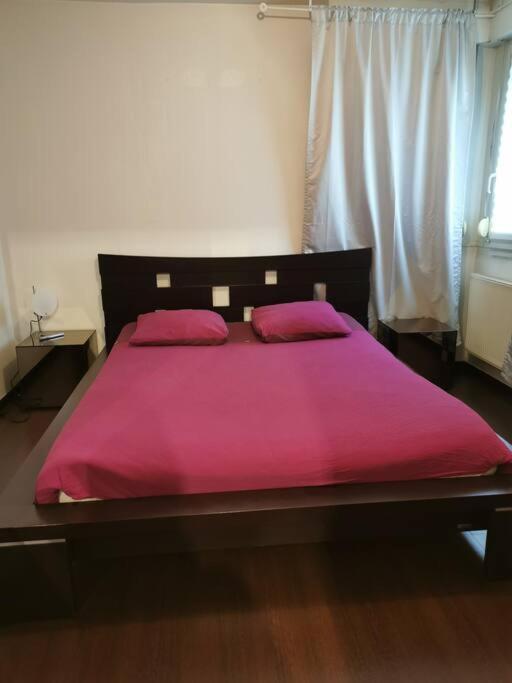 Appartement Cosy A 10 Min Du Centre De Strasburg Zewnętrze zdjęcie